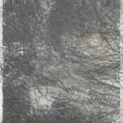 pareidolie 8